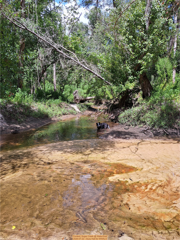 Context, Sugar Creek @ WaterGoat 2026-07-22 --Suzy Hall for WWALS