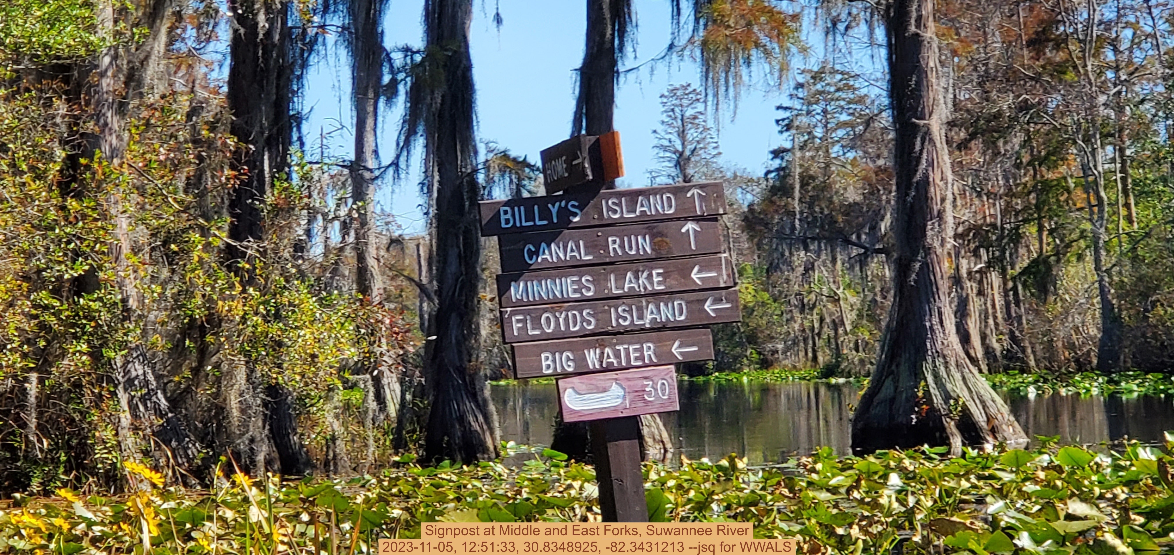 Signpost at Middle and East Forks, Suwannee River, 2023-11-05, 12:51:33, 30.8348925, -82.3431213 --jsq for WWALS