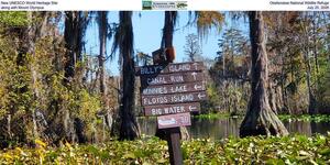 [New UNESCO World Heritage Site, Okefenokee National Wildlife Refuge, along with Mount Olympus, July 25, 2026]