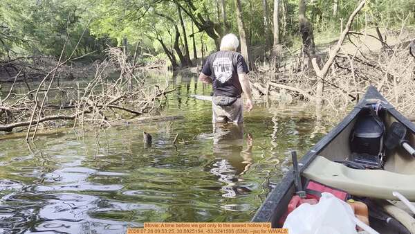 Movie: A time before we got only to the sawed hollow log, 2026:07:26 09:53:25, 30.8825154, -83.3241595 (53M) --jsq for WWALS