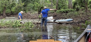 [Andrew Reinlieb, toss sawed limb, 2026:07:11 11:13:38, 30.8819695, -83.3249482 --jsq for WWALS]