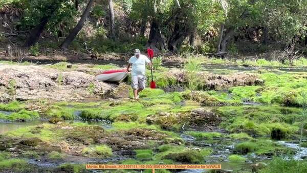 [Movie: Big Shoals, 30.3397111, -82.6831056 (30M) --Shirley Kokidko for WWALS]