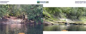 [Paddle Big Shoals to Suwannee Wayside Park, Suwannee River, Saturday, August 1, 2026]