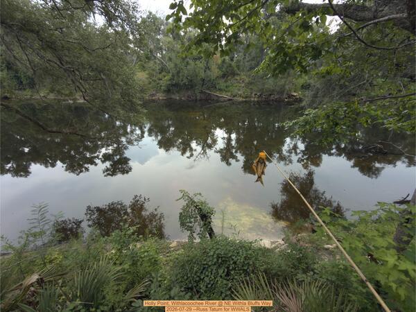 [Holly Point, Withlacoochee River @ NE Withla Bluffs Way 2026-07-29 --Russ Tatum for WWALS]