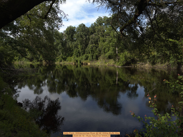 [Holly Point, Withlacoochee River @ NE Withla Bluffs Way 2026-06-18 --Russ Tatum for WWALS]