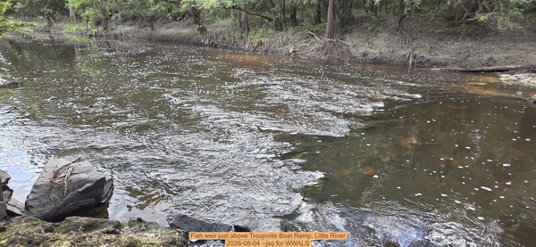 [Fish weir just above Troupville Boat Ramp, Little River, 2026-08-04 --jsq for WWALS]