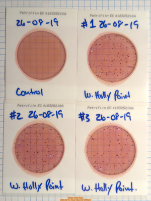 [Plates, Holly Point 2026-08-19 --Russ Tatum for WWALS]