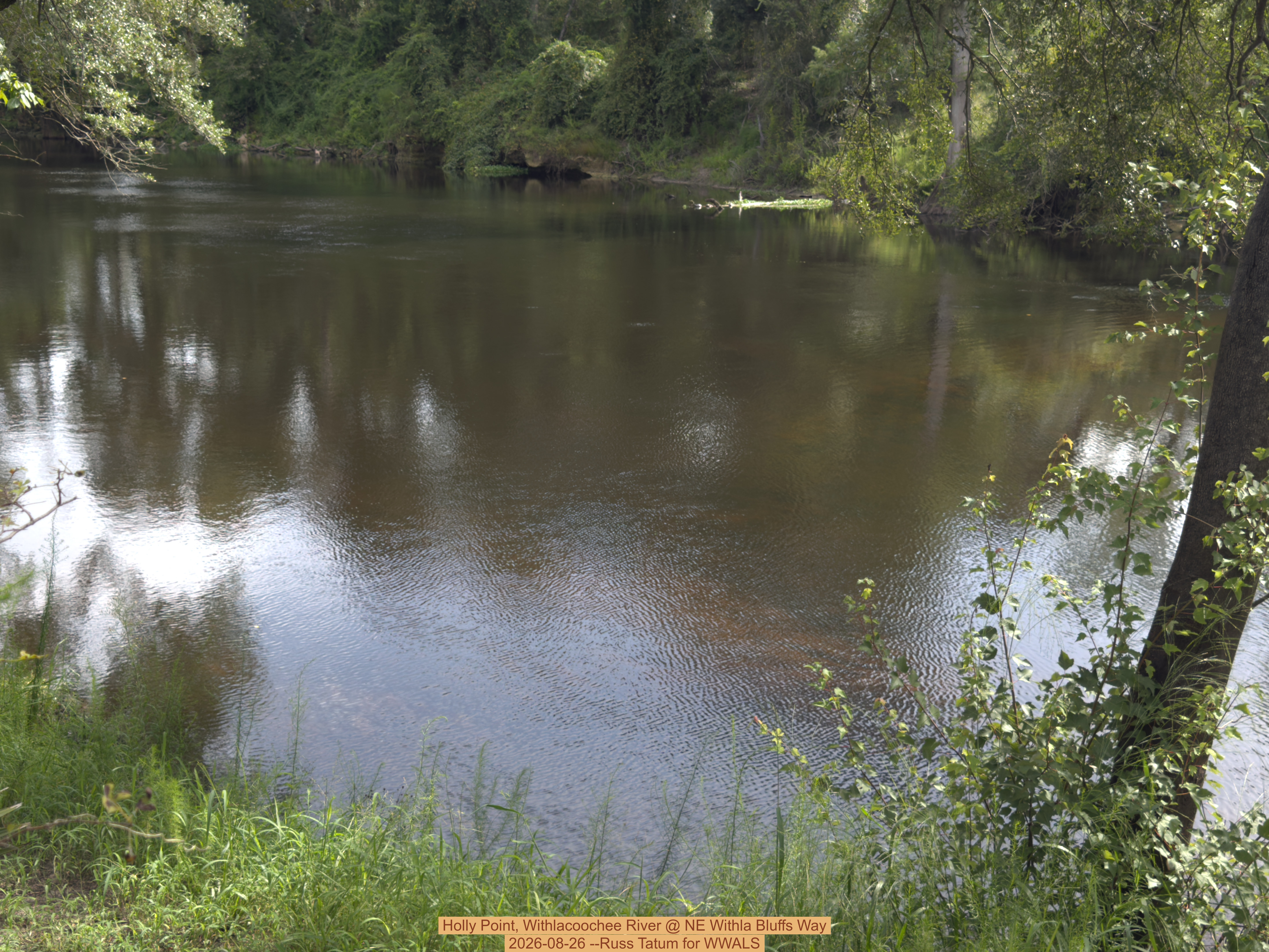 Holly Point, Withlacoochee River @ NE Withla Bluffs Way 2026-08-26 --Russ Tatum for WWALS