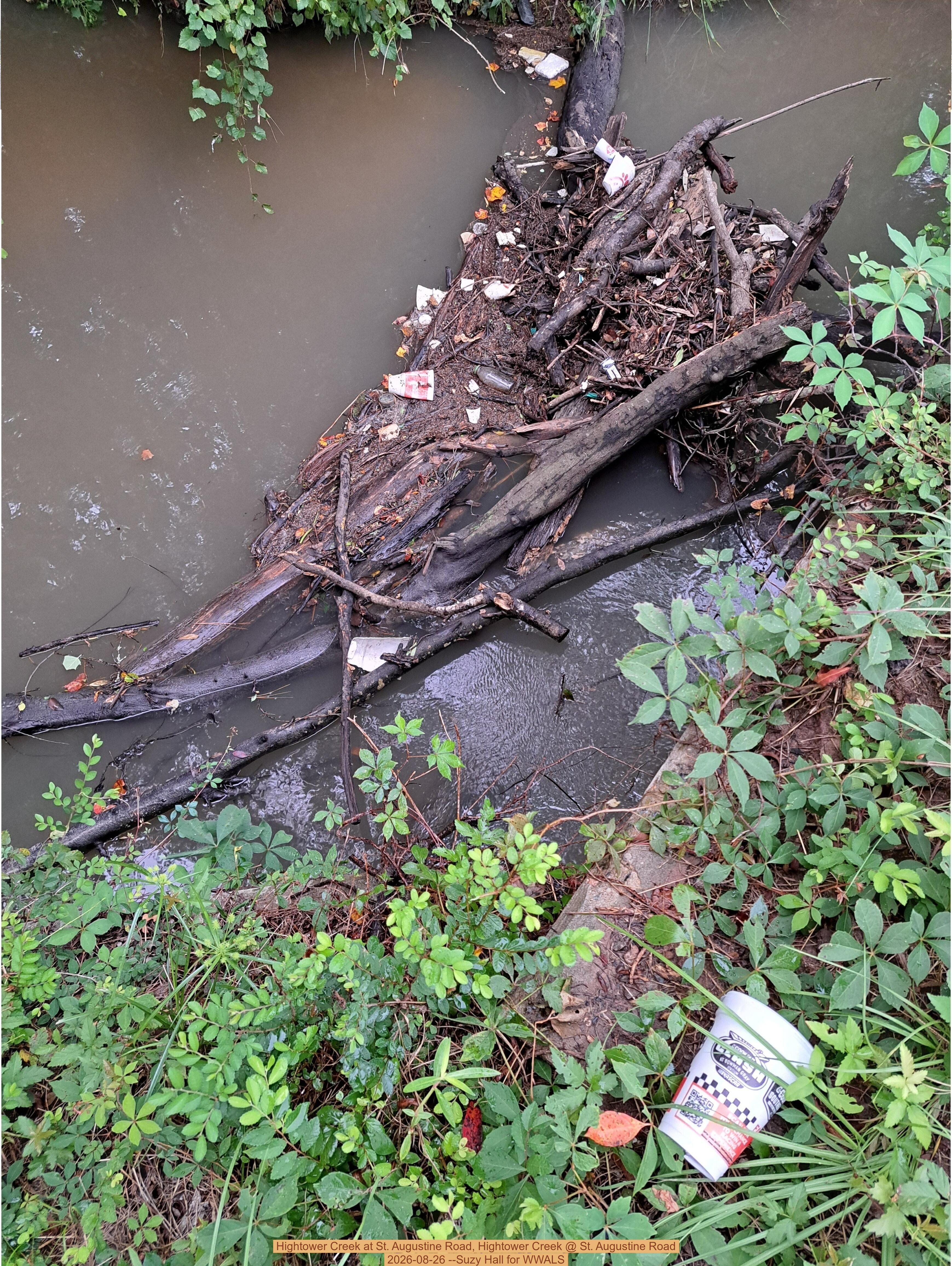 Hightower Creek at St. Augustine Road, Hightower Creek @ St. Augustine Road 2026-08-26 --Suzy Hall for WWALS
