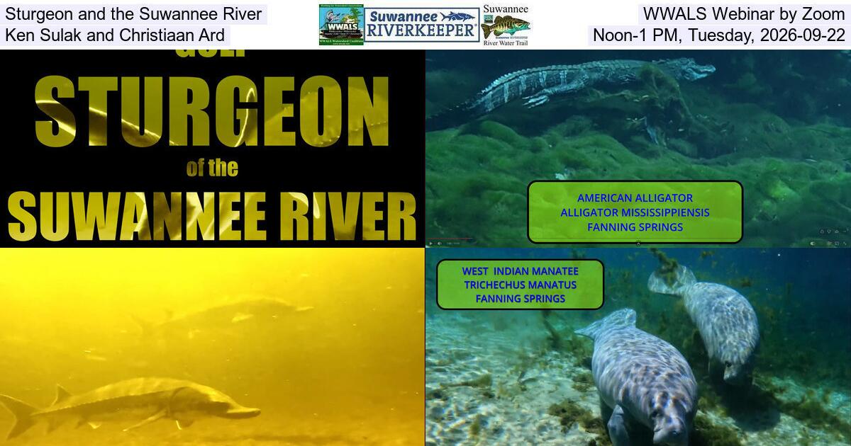 Sturgeon and the Suwannee River, WWALS Webinar by Zoom, Ken Sulak and Christiaan Ard, Noon-1 PM, Tuesday, 2026-09-22
