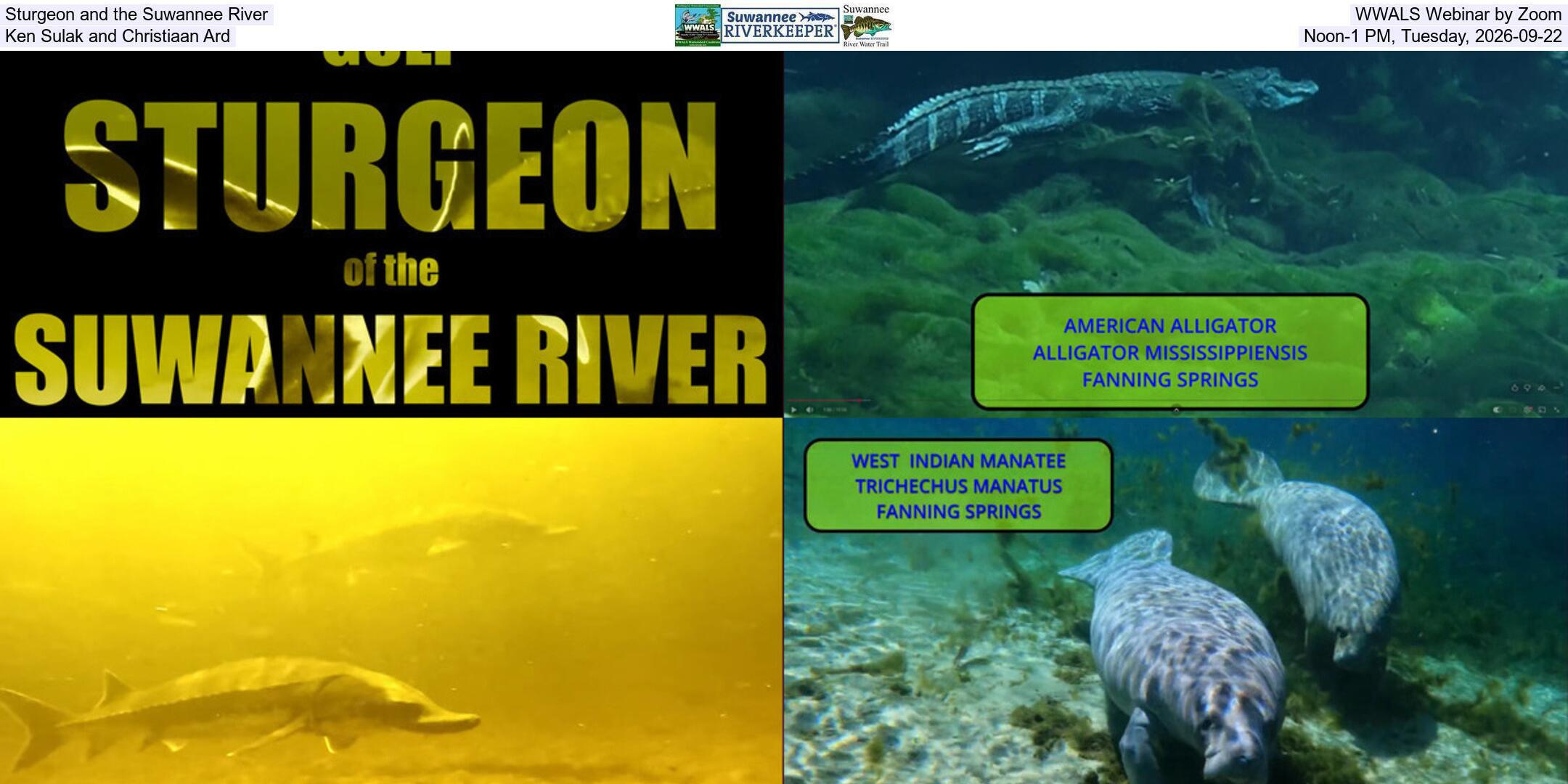 Sturgeon and the Suwannee River, WWALS Webinar by Zoom, Ken Sulak and Christiaan Ard, Noon-1 PM, Tuesday, 2026-09-22