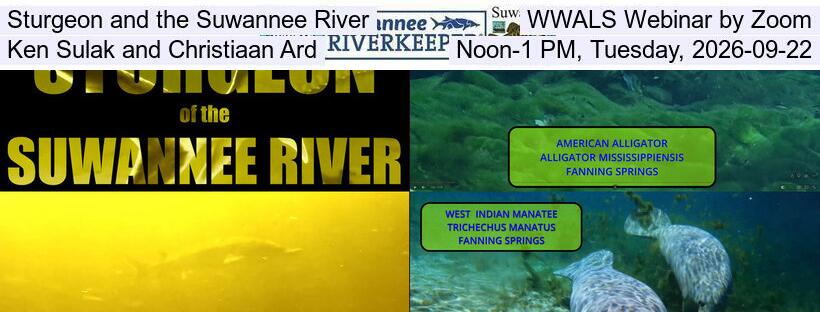 Sturgeon and the Suwannee River, WWALS Webinar by Zoom, Ken Sulak and Christiaan Ard, Noon-1 PM, Tuesday, 2026-09-22