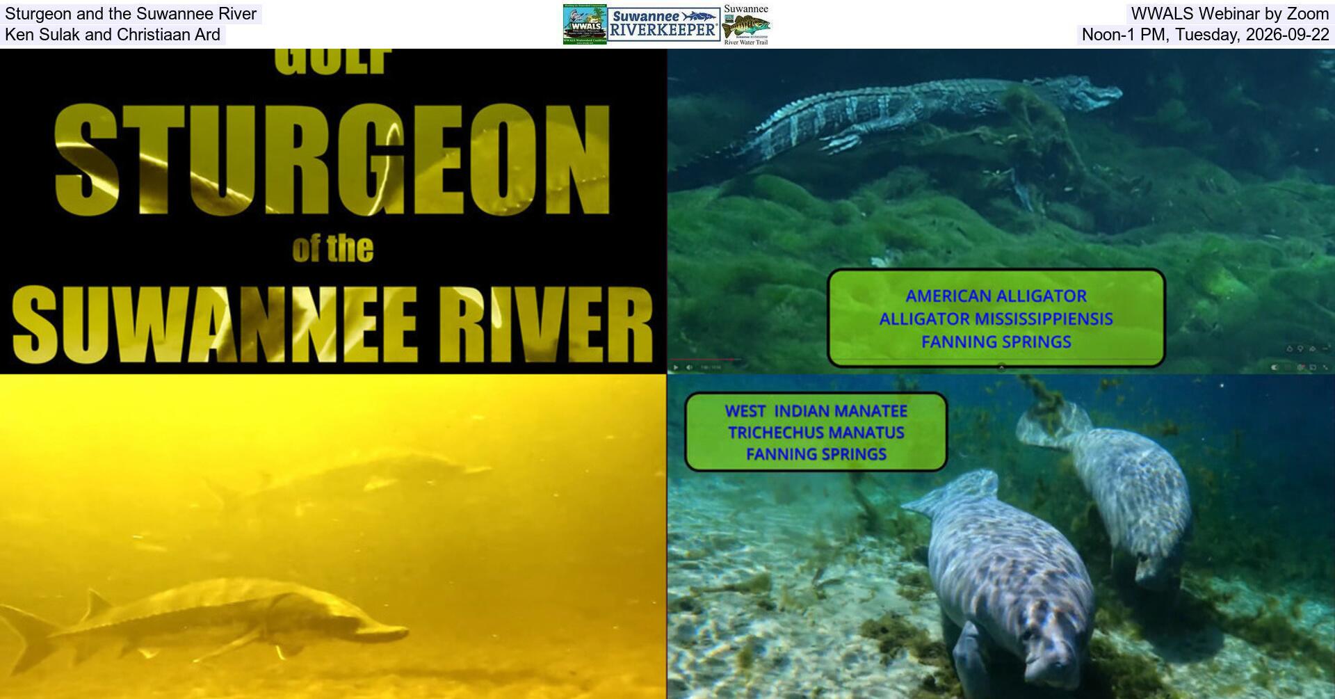 [Sturgeon and the Suwannee River, WWALS Webinar by Zoom, Ken Sulak and Christiaan Ard, Noon-1 PM, Tuesday, 2026-09-22]