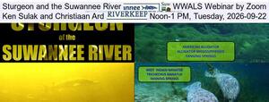 [Sturgeon and the Suwannee River, WWALS Webinar by Zoom, Ken Sulak and Christiaan Ard, Noon-1 PM, Tuesday, 2026-09-22]