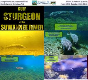 [Sturgeon and the Suwannee River, WWALS Webinar by Zoom, Ken Sulak and Christiaan Ard, Noon-1 PM, Tuesday, 2026-09-22]