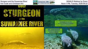 [Sturgeon and the Suwannee River, WWALS Webinar by Zoom, Ken Sulak and Christiaan Ard, Noon-1 PM, Tuesday, 2026-09-22]