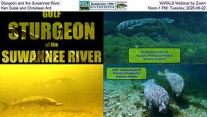 [Sturgeon and the Suwannee River, WWALS Webinar by Zoom, Ken Sulak and Christiaan Ard, Noon-1 PM, Tuesday, 2026-09-22]