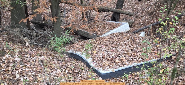 [Mattresses in the creek, 2025:11:22 08:59:58, 30.7127665, -83.4556261 --jsq for WWALS]