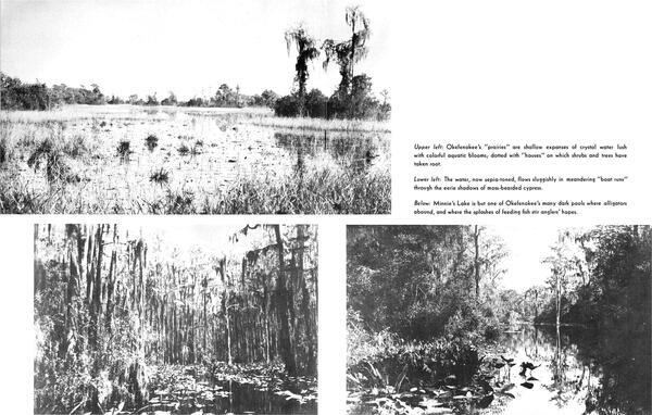 [Prairies, houses, boat runs, Minnie's Lake, dark pools]