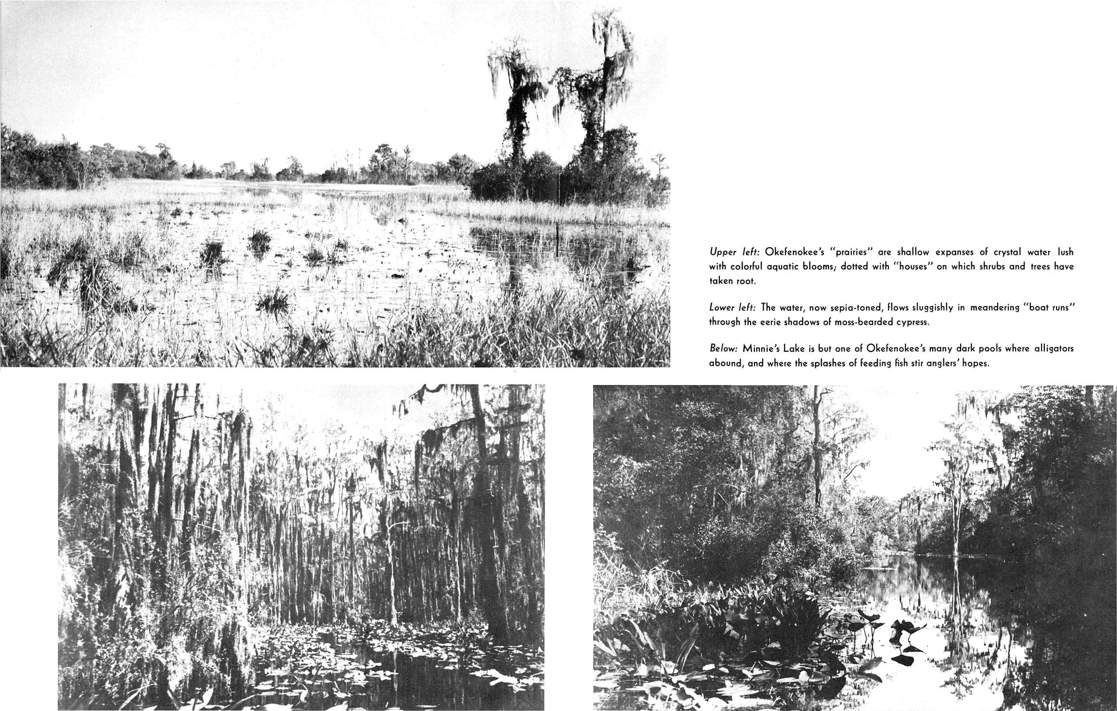 Prairies, houses, boat runs, Minnie's Lake, dark pools