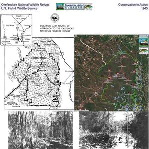 [Okefenokee National Wildlife Refuge, Conservation in Action, U.S. Fish & Wildlife Service, 1945]
