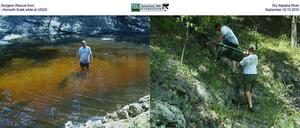 [Sturgeon Rescue from Dry Alapaha River --Kenneth Sulak while at USGS, September 12-13 2010]