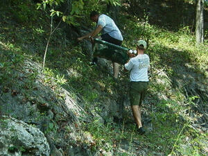 [Mike and FWC biologist with large sturgeon wrapped in seine 2025-09-12 --Ken Sulak]