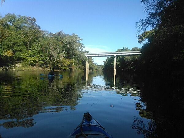 [CR 150 bridge, looking upstream 30.5956955, -83.2594681]