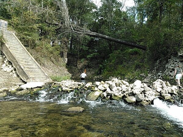 [Hardee Spring dam 30.5446434, -83.2505264]