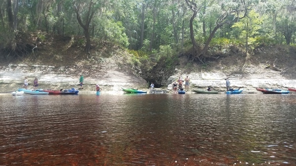 Camp Branch, which comes out of the Nutrien Phosphate Mine, 2017:05:20 11:34:56, 30.3691400, -82.8888700 --jsq for WWALS