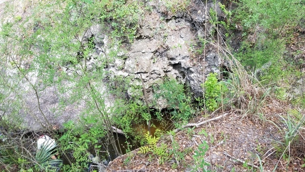 Above Camp Branch, 2017:05:20 11:43:09, 30.3694000, -82.8884500 --jsq for WWALS