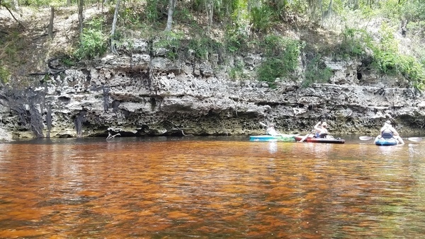 [Orange and yellow water, limestone cliff, 2017:05:20 12:46:48, 30.3780694, -82.8911194 --jsq for WWALS]