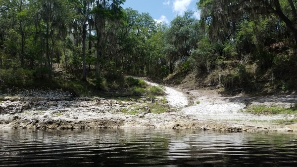 [Landing, Sugar Creek Tract, 2017:05:20 14:03:21, 30.3877380, -82.9065767 --jsq for WWALS]