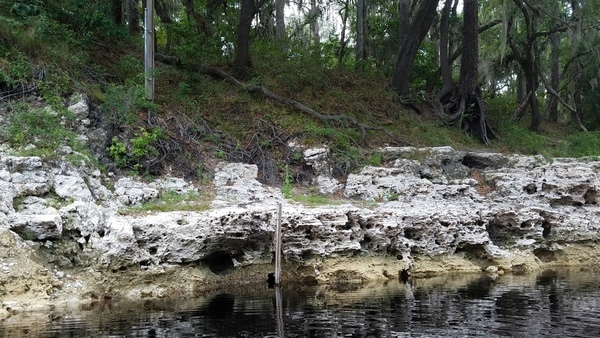 [Level markers, 2017:05:20 15:19:56, 30.3923800, -82.9325889 --jsq for WWALS]