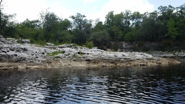 [Last point before Suwannee Springs, 2017:05:20 15:22:42, 30.3947319, -82.9326108 --jsq for WWALS]