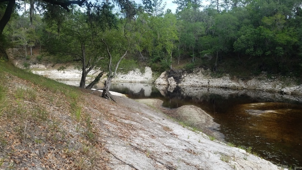 Downstream towards the Landing, 2017:05:20 10:19:59, 30.3621300, -82.8683800 --jsq for WWALS