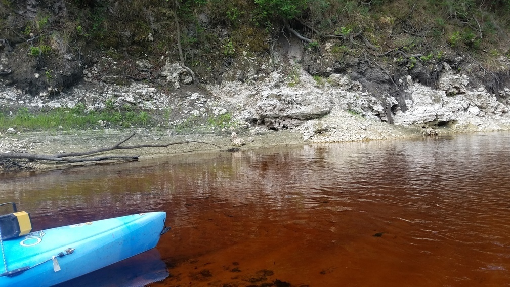 Orange-red water, 2017:05:20 10:54:16, 30.3655500, -82.8770800 --jsq for WWALS