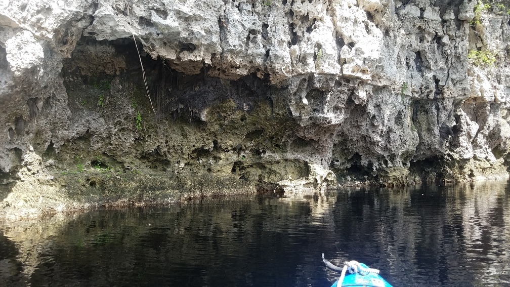 Undercut cliff, 2017:05:20 11:18:35, 30.3657700, -82.8853200 --jsq for WWALS