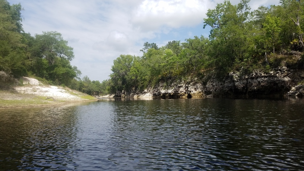 Beach and cliff, 2017:05:20 11:22:33, 30.3670574, -82.8846413 --jsq for WWALS