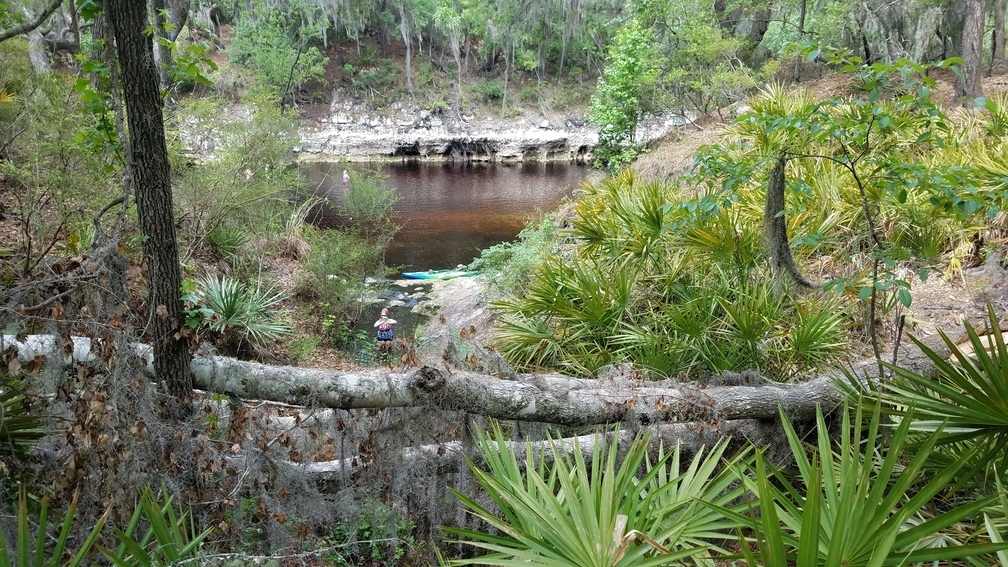 Pictures up and down, 2017:05:20 11:41:33, 30.3694600, -82.8884500 --jsq for WWALS