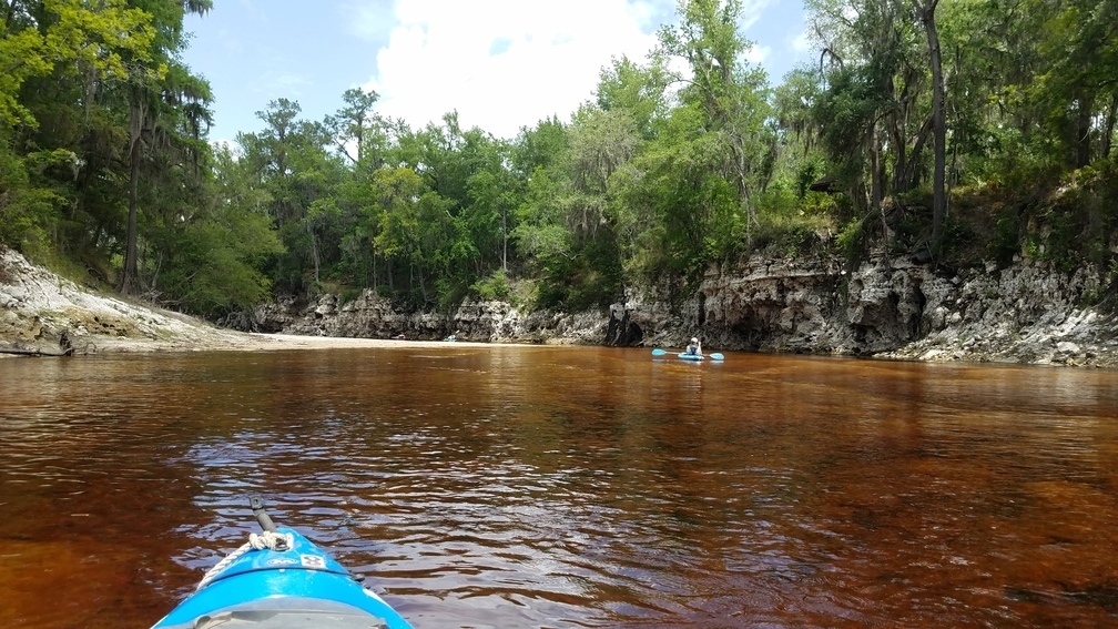 Orange-red left, 2017:05:20 12:24:08, 30.3721351, -82.8900923 --jsq for WWALS