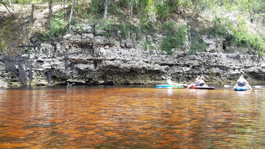 Orange and yellow water, limestone cliff, 2017:05:20 12:46:48, 30.3780694, -82.8911194 --jsq for WWALS