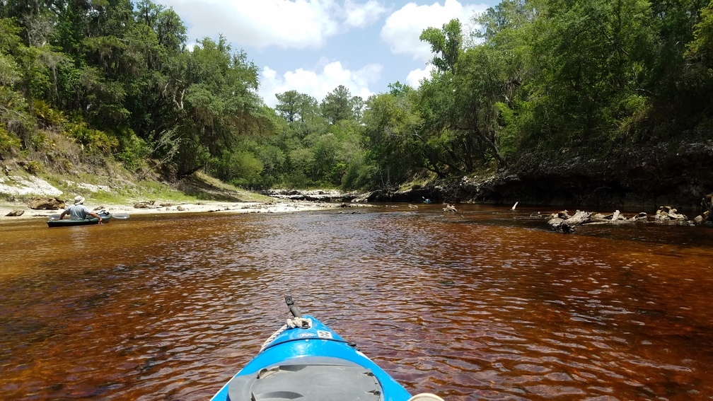 Very red, 2017:05:20 12:56:56, 30.3842400, -82.8891900 --jsq for WWALS