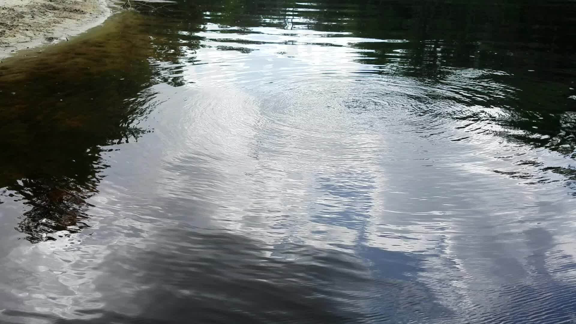 Movie: Bubbles above Suwannee Springs, 2017:05:20 15:23:59, 30.3948300, -82.9332000 --jsq for WWALS