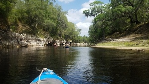 [Camp Branch Conservation Area on right, 2017:05:20 11:30:25, 30.3676500, -82.8863700 --jsq for WWALS]