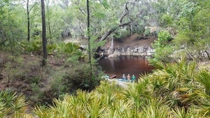 [Down Camp Branch, 2017:05:20 11:40:50, 30.3695200, -82.8885500 --jsq for WWALS]