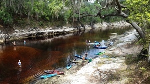 [Wading in the river, 2017:05:20 11:44:21, 30.3693500, -82.8884400 --jsq for WWALS]