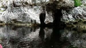 [Movie: Drifting past caves, 2017:05:20 12:27:20, 30.3724200, -82.8905500 --jsq for WWALS]