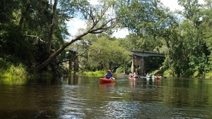 [Upstream to FL 6 Bridge, 30.48115, -83.24359]