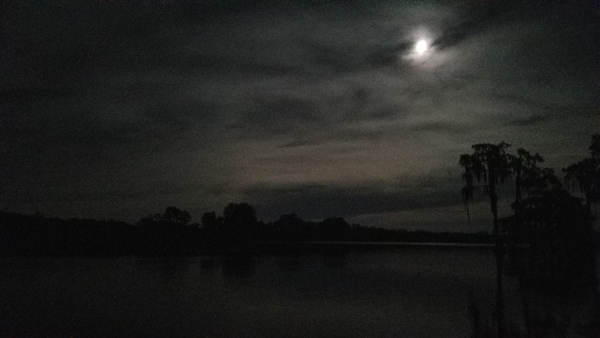 Moon sliding up the sky